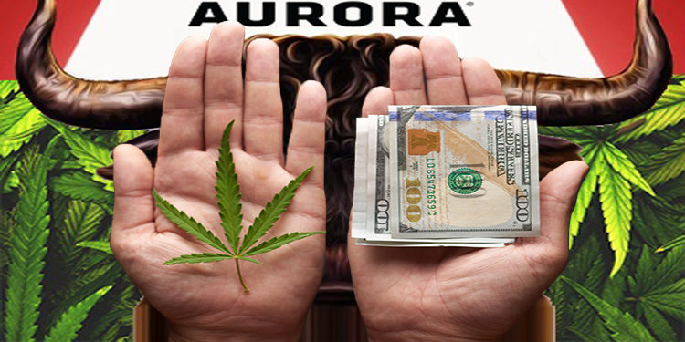 Aurora Cannabis Leap Frogs Canopy Growth as a Better Investment