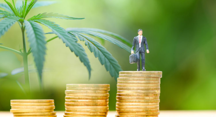 Is Tilray Stock a Buy Right Now? This Is What You Need to Know