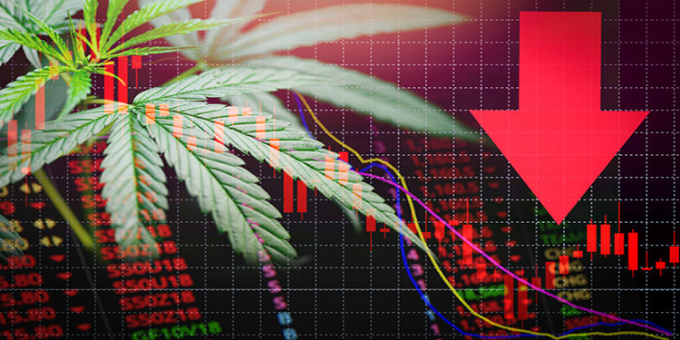 After a Reverse Split, Can Aurora Cannabis Also Reverse the Downward Trend?