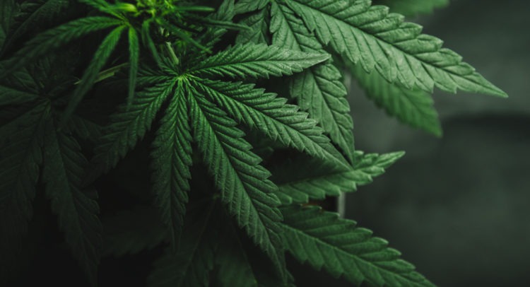 Aurora Cannabis Inks Supply Deal with Israel’s Cantek