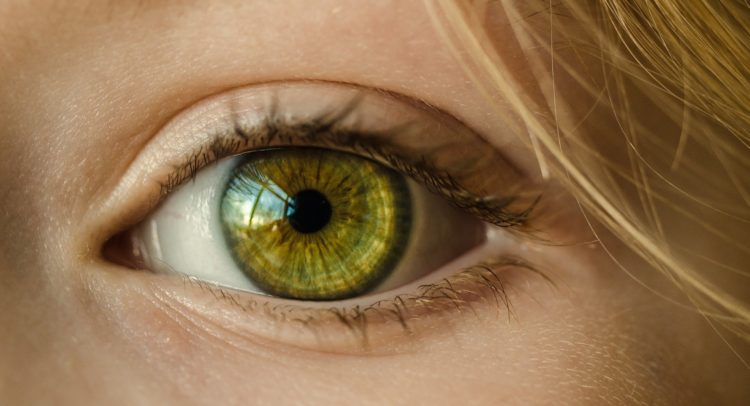 Ocular Therapeutics’ (NASDAQ:OCUL) Wet AMD Interim Phase 1 Data Shows Promise