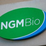 NGM Bio Prices $125M Share Offering; Stock Falls 4%