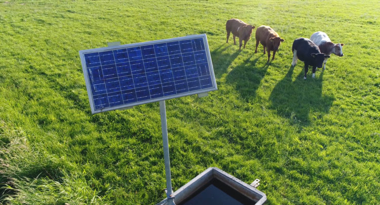 Boralex and Sun’Agri Team Up to Develop Agrivoltaics in Europe