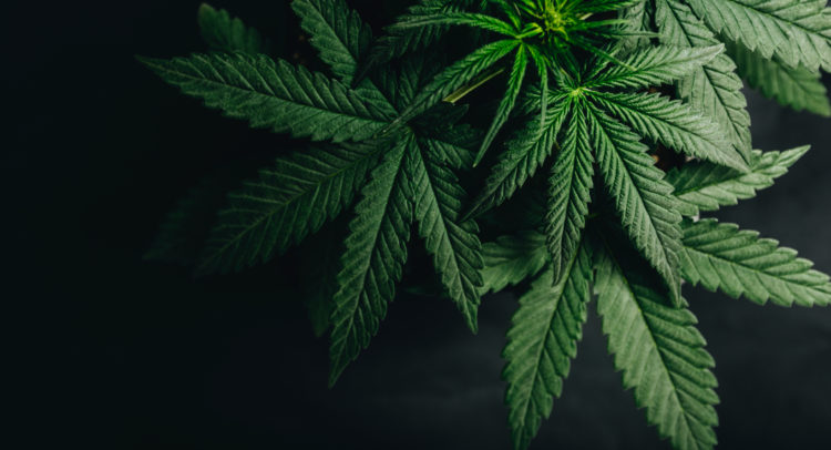 MariMed Gets Nod to Acquire Cannabis Company; Street Sees 159% Upside