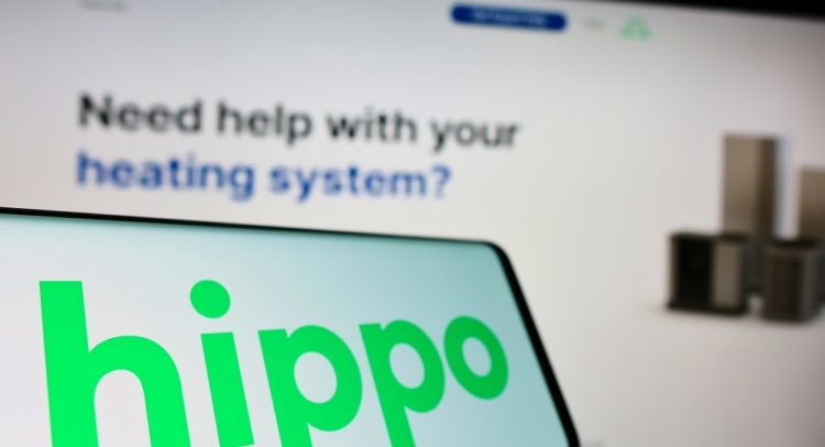 Why Did Hippo Fly 31% on Friday?