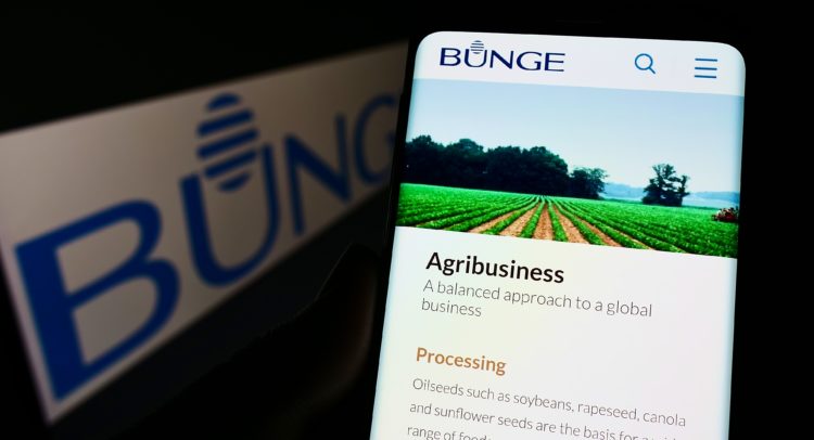 Bunge Stock: Profitability is an Illusion