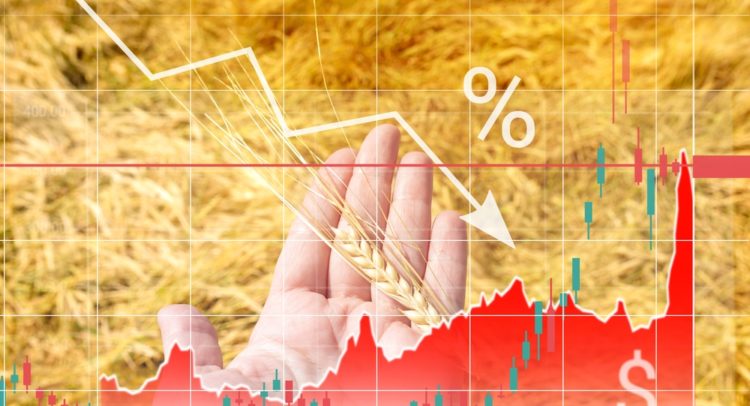 2 Stocks to Consider as the World Grapples with an Escalating Wheat Crisis