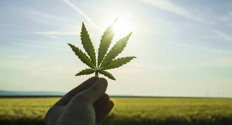 Why are Canopy Growth Shares Trending Higher?