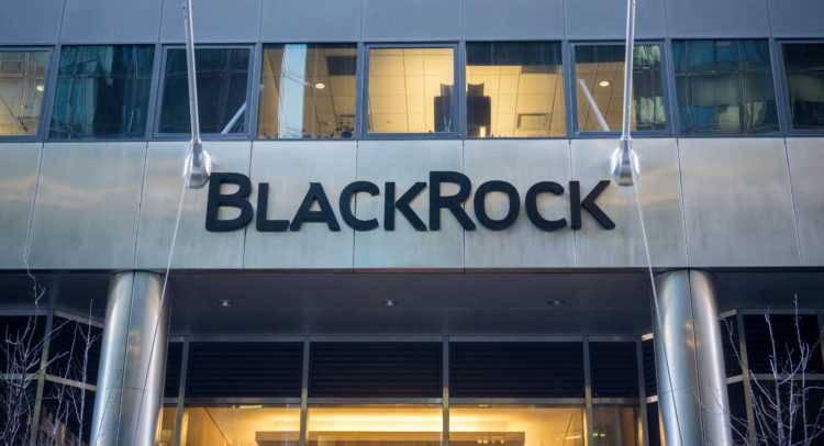 BlackRock Stock: Befriending the Biggest Bully at School