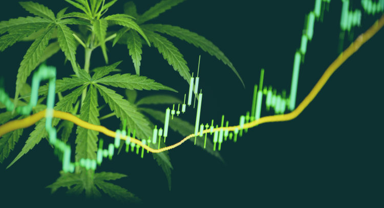 5 Top Cannabis Stocks to Buy Now, According to Analysts – December 2023