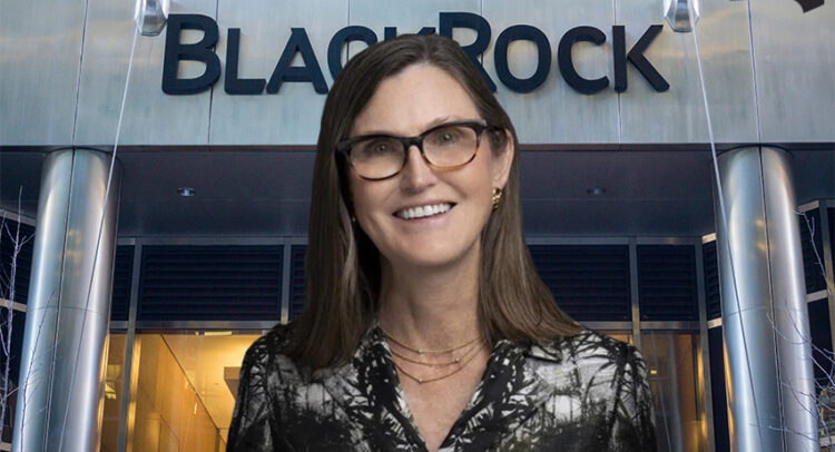 Cathie Wood and BlackRock Have One Thing in Common: They’re Making a Big Bet on These 2 Stocks