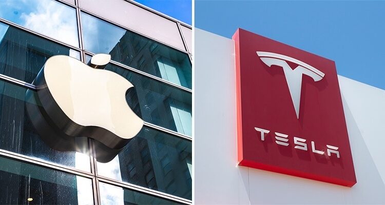 Apple или Tesla: J.P. Morgan выбирает лучшие акции голубых фишек для покупки во время падения