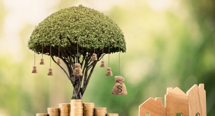 LendingTree’s (TREE) Stock Spikes and Defies Expectations