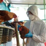 Trump Team May Block Moderna’s (MRNA) Bird Flu Vaccine Funding