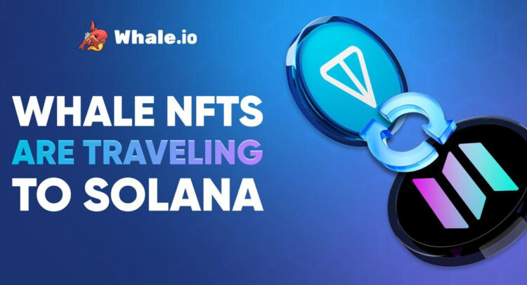 Whale NFT Bridge Goes Live: TON to Solana Migration Launches on Bridgemedaddy.com