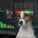 Bullish Signal on Datadog (DDOG) Overlooked by Wall Street Analysts