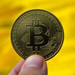 88% of Bitcoin Supply in Profit as $95,000 Marks Turning Point
