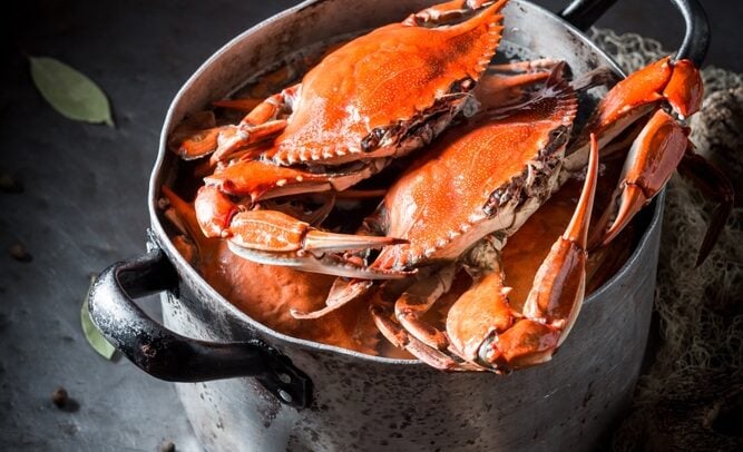 Why General Mills (GIS) Shareholders Are Trapped in a Lobster Pot