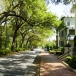 Real Estate Revival Creates Commercial Savannah for Opendoor Stock (OPEN)