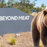 ‘This Is a No-Go Zone,’ Says Investor About Beyond Meat (BYND) Stock