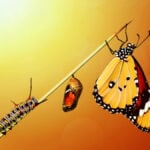 Why Caterpillar (CAT) Investors Expect the Stock to Fly Like a Butterfly in 2026