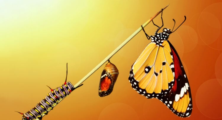 Why Caterpillar (CAT) Investors Expect the Stock to Fly Like a Butterfly in 2026