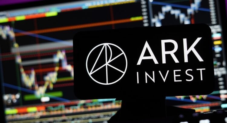 Cathie Wood Snaps Up DraftKings, Alibaba, and Baidu Stocks, Offloads Brera