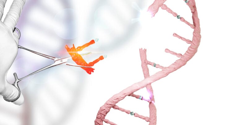 Why Is Phio Pharmaceuticals Stock Up 75% Today?