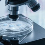 Why Is Intelligent Bio Solutions Stock (INBS) Down Today?