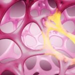Why Is Scinai Immunotherapeutics Stock (SCNI) Up Today?