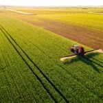 Why Is Sadot Group Stock (SDOT) Up Today?